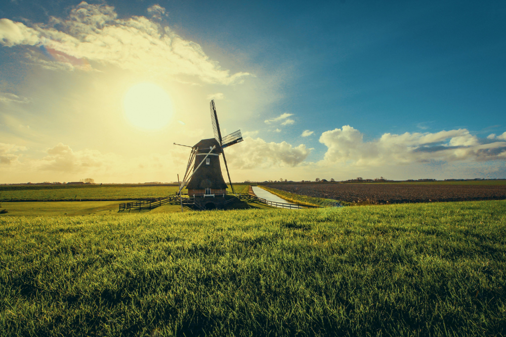 Vacanze in Olanda: scopri il glamping e le meraviglie della natura